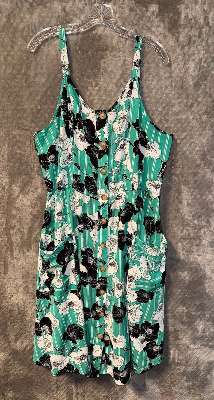 Mlle Gabrielle Floral Striped Button-Front Midi Dress Size 2X